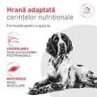 Royal Canin Veterinary Glycobalance Hrană umedă pentru câini diabetici adulţi 410 g