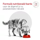Royal Canin Veterinary Glycobalance Hrană umedă pentru câini diabetici adulţi 410 g