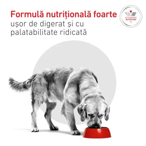 Royal Canin Veterinary Glycobalance Hrană umedă pentru câini diabetici adulţi 410 g