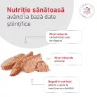 Royal Canin Veterinary Glycobalance Hrană umedă pentru câini diabetici adulţi 410 g