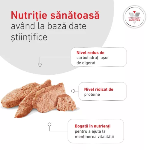 Royal Canin Veterinary Glycobalance Hrană umedă pentru câini diabetici adulţi 410 g
