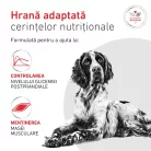 Royal Canin Veterinary Glycobalance Hrană uscată pentru câini diabetici adulţi 1,5 kg