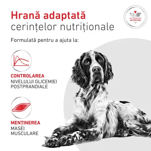 Royal Canin Veterinary Glycobalance Hrană uscată pentru câini diabetici adulţi 1,5 kg