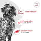Royal Canin Veterinary Glycobalance Hrană uscată pentru câini diabetici adulţi 1,5 kg