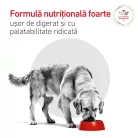 Royal Canin Veterinary Glycobalance Hrană uscată pentru câini diabetici adulţi 1,5 kg