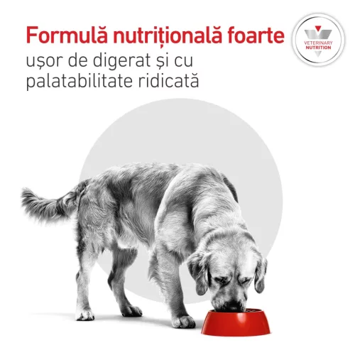 Royal Canin Veterinary Glycobalance Hrană uscată pentru câini diabetici adulţi 1,5 kg