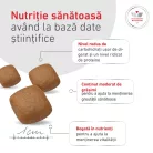 Royal Canin Veterinary Glycobalance Hrană uscată pentru câini diabetici adulţi 1,5 kg