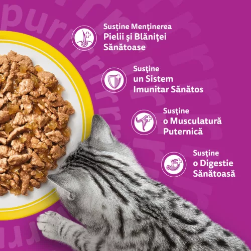Whiskas Hrană umedă pentru pisici adulte, selecții de pasăre în aspic 40 x 85 g