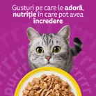Whiskas Hrană umedă pentru pisici adulte, selecții de pasăre în aspic 40 x 85 g