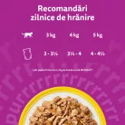 Whiskas Hrană umedă pentru pisici adulte, selecții de pasăre în aspic 40 x 85 g