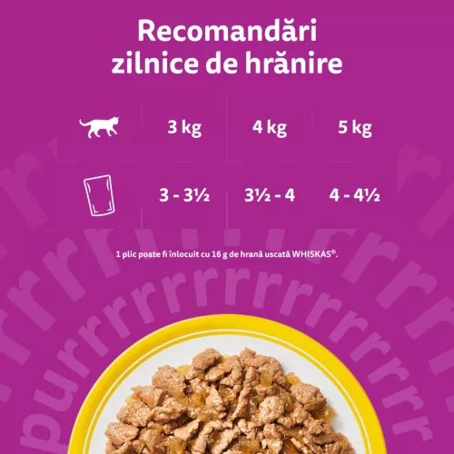 Whiskas Hrană umedă pentru pisici adulte, selecții de pasăre în aspic 40 x 85 g