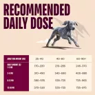 Carnilove Active Hrană uscată pentru câini junior de talie mare, cu somon și curcan 1,5 kg