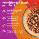 Whiskas Duo Hrană umedă pentru pisici adulte cu mix de carne 4x85 g