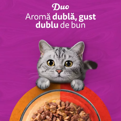 Whiskas Duo Hrană umedă pentru pisici adulte cu mix de carne 4x85 g