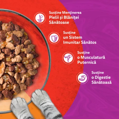 Whiskas Duo Hrană umedă pentru pisici adulte cu mix de carne 4x85 g