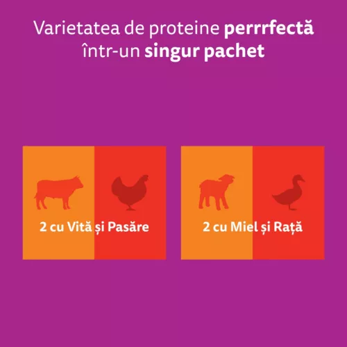 Whiskas Duo Hrană umedă pentru pisici adulte cu mix de carne 4x85 g