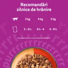 Whiskas Duo Hrană umedă pentru pisici adulte cu mix de carne 4x85 g