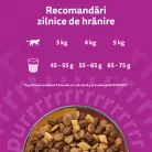 Whiskas Duo Hrană uscată pentru pisici adulte cu miel și curcan 1,4 kg