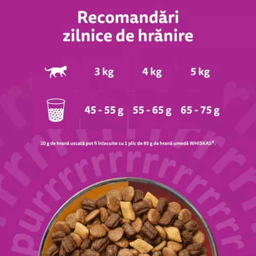 Whiskas Duo Hrană uscată pentru pisici adulte cu miel și curcan 1,4 kg