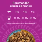 Whiskas Duo Hrană uscată pentru pisici adulte cu ton și pui 1,4 kg