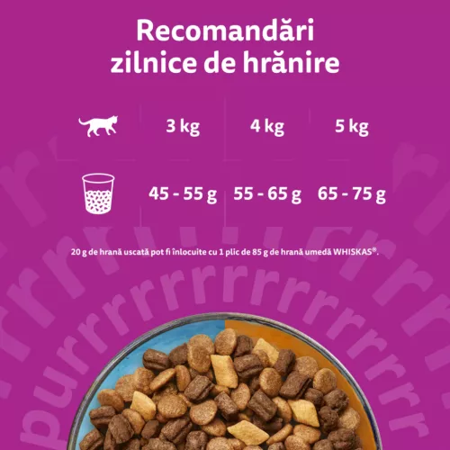 Whiskas Duo Hrană uscată pentru pisici adulte cu ton și pui 1,4 kg
