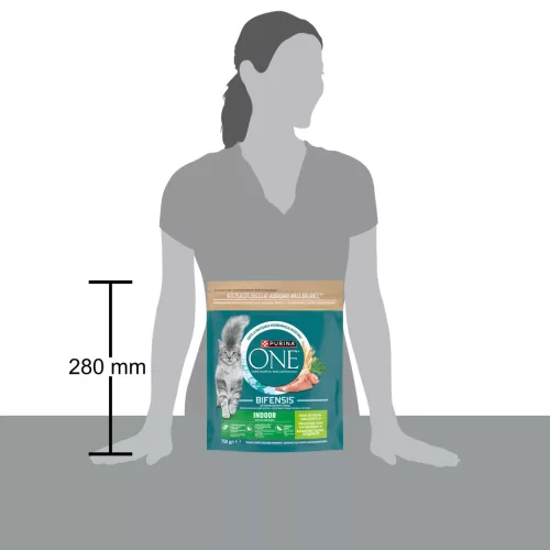 Purina One Indoor Hrană uscată pentru pisici adulte cu curcan și cereale 750 g