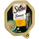Sheba Hrană umedă pentru pisici adulte cu curcan în sos alb 85 g