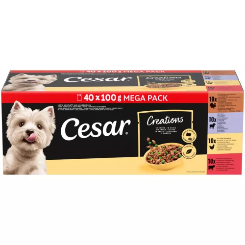 Cesar Hrană umedă pentru câini adulți, selecții de carne în sos 40 x 100 g