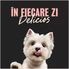 Cesar Hrană umedă pentru câini adulți, selecții de carne în sos 40 x 100 g