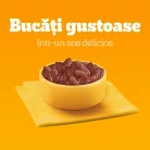 Pedigree Hrană umedă pentru câini adulți, cu selecții de carne în sos 80 x 100 g