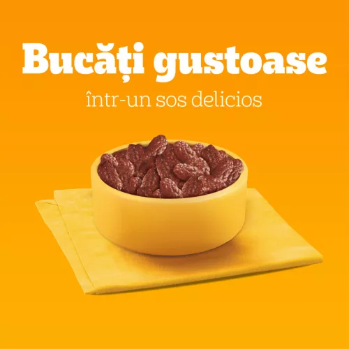 Pedigree Hrană umedă pentru câini adulți, cu selecții de carne în sos 80 x 100 g