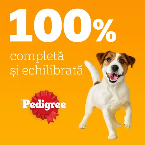 Pedigree Hrană umedă pentru câini adulți, cu selecții de carne în sos 80 x 100 g