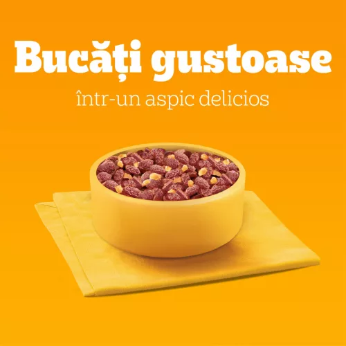 Pedigree Hrană umedă pentru câini adulți, selecții de carne în aspic 80 x 100 g