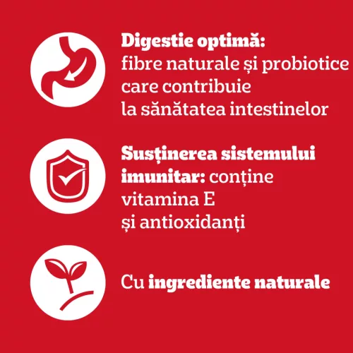 Pedigree Hrană umedă pentru câini adulți, selecții de carne în aspic 80 x 100 g