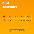 Pedigree Hrană umedă pentru câini adulți, selecții de carne în aspic 80 x 100 g