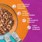 Whiskas Duo Hrană umedă pentru pisici adulte cu selecții de pește în aspic 4 x 85 g