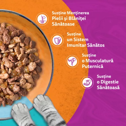 Whiskas Duo Hrană umedă pentru pisici adulte cu selecții de pește în aspic 4 x 85 g