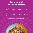 Whiskas Duo Hrană umedă pentru pisici adulte cu selecții de pește în aspic 4 x 85 g
