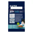 Felix Doubly Delicious Hrană uscată pentru pisici adulte, cu somon și pește 1,4 kg