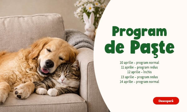 Program Paște 2026 