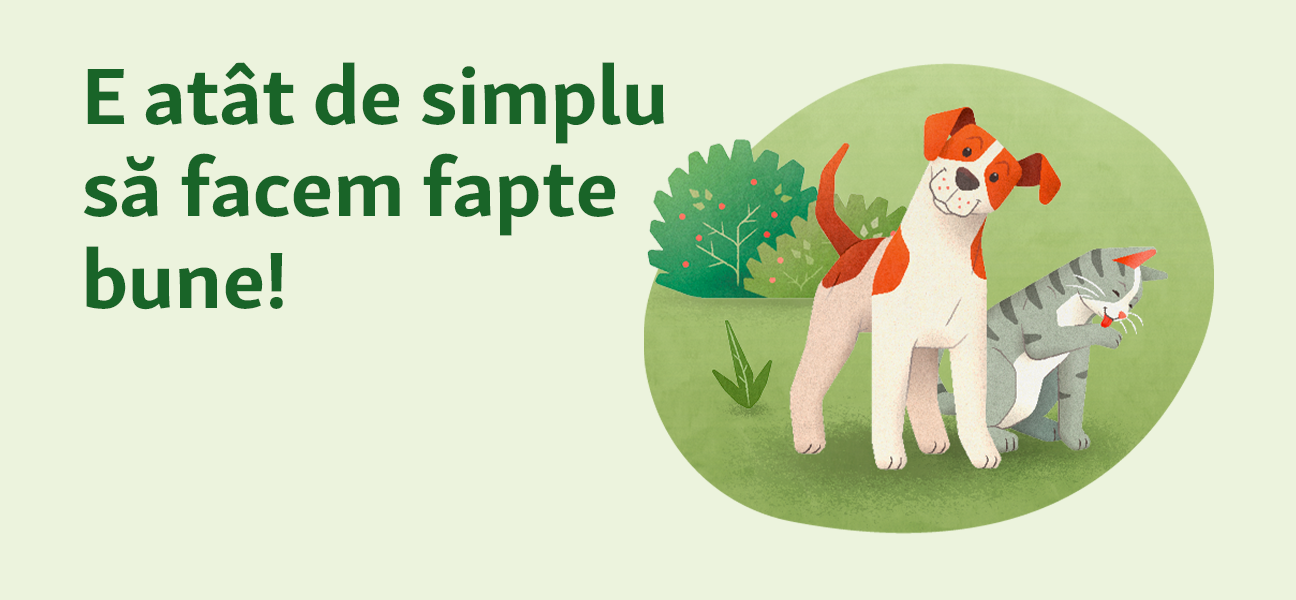 E atât de simplu să facem fapte bune!