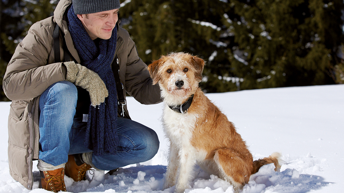 3+1 sfaturi pentru pregătirea căsuței câinilor pentru anotimpul friguros