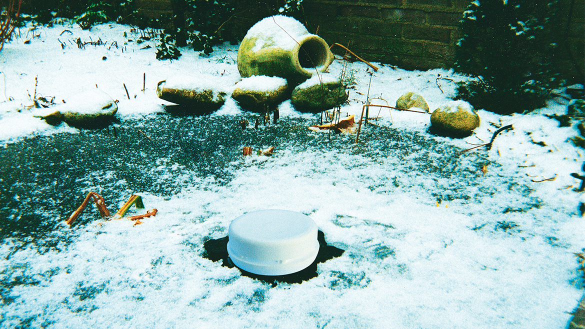 Nici iarna nu neglija iazul de grădina