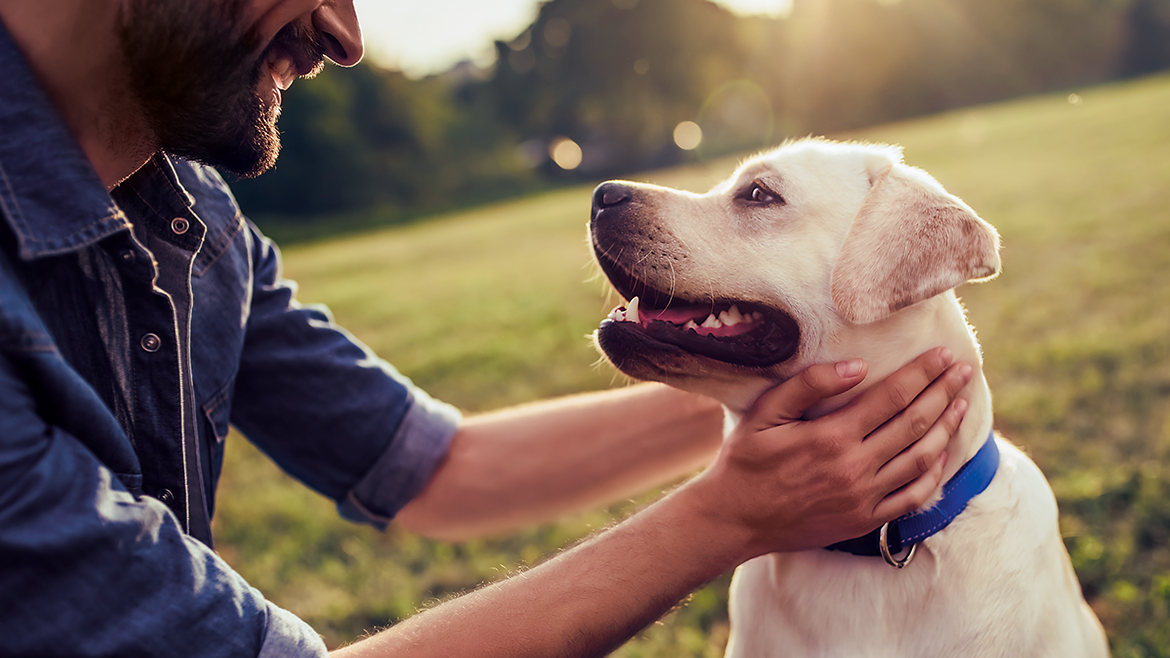 Secretele unei prietenii adevărate între câine și om