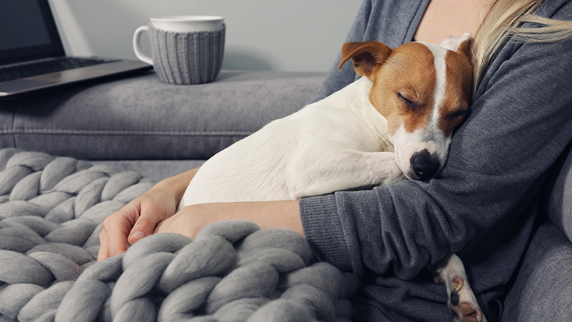 5 pași pentru a face Revelionul mai liniștit pentru animăluțele noastre