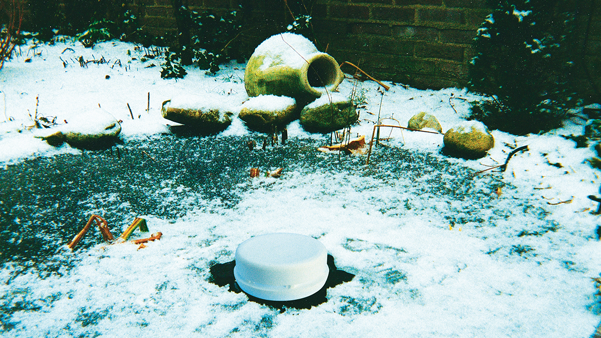 5 sfaturi pentru întreținerea iazului de grădină în lunile de iarnă