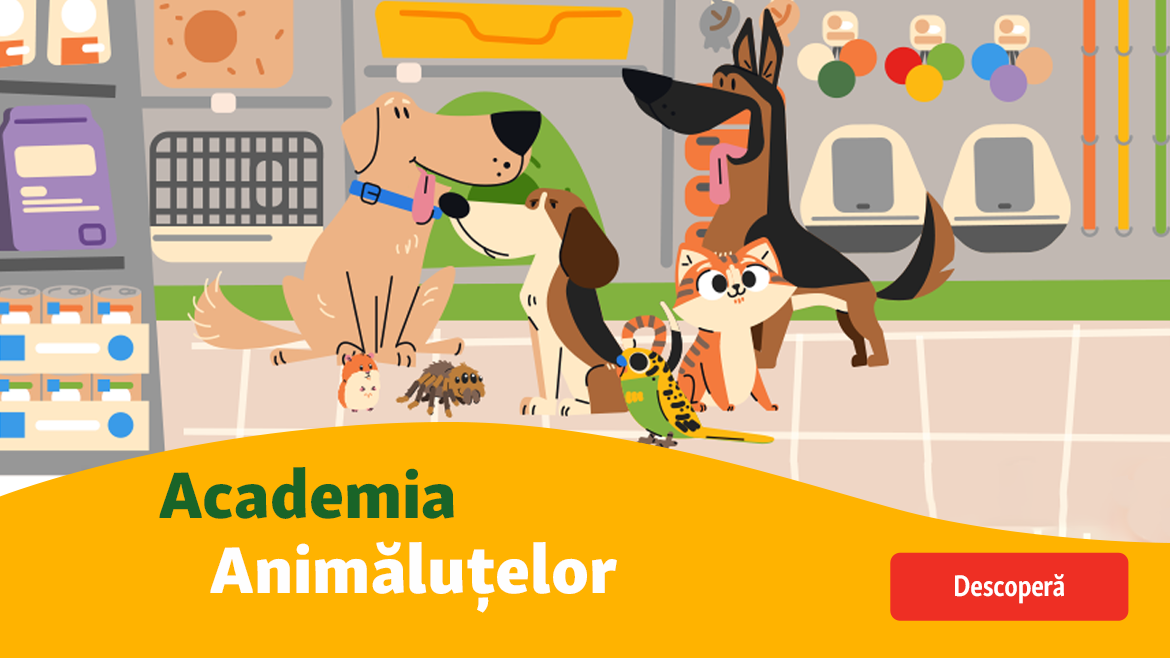 Descoperă lumea minunată a animalelor de companie!