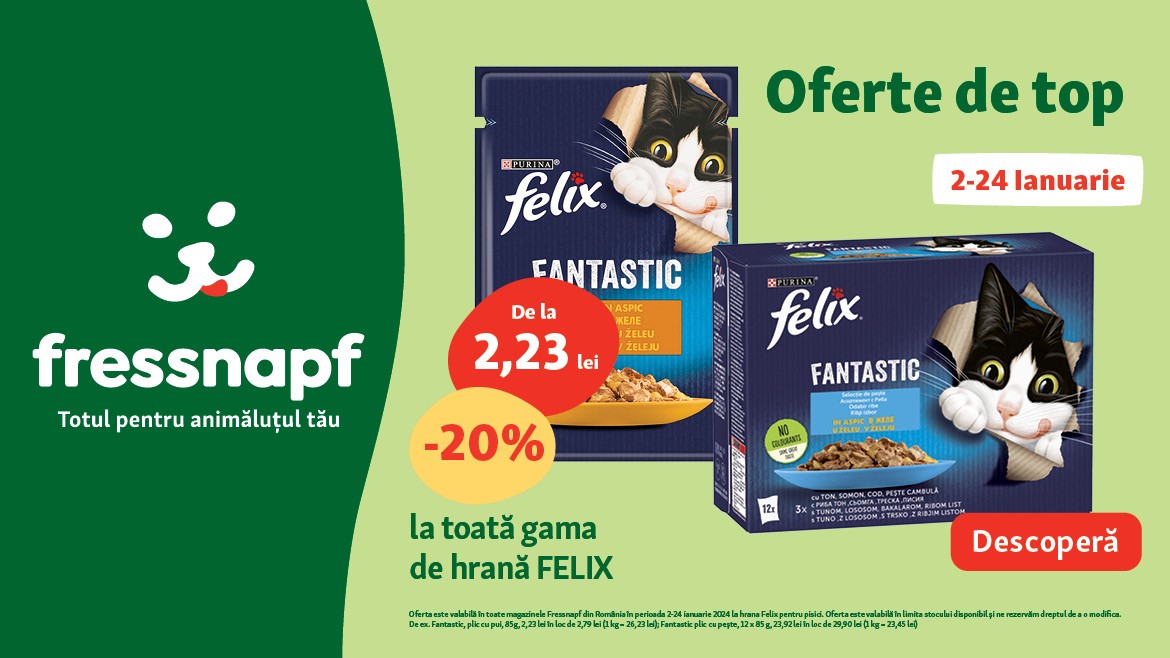 Bunătăți irezistibile pentru pisica ta!