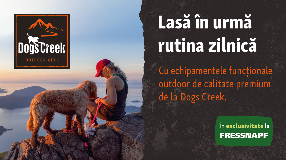 Să înceapă aventura cu Dogs Creek!