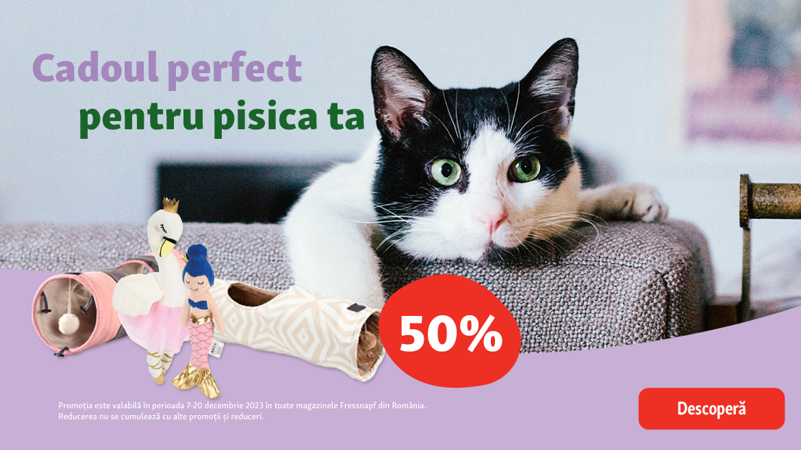 Cadoul perfect pentru pisica ta!